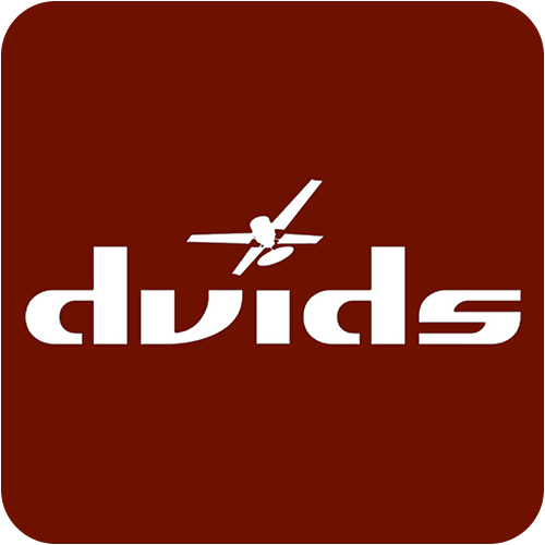 dvids logo