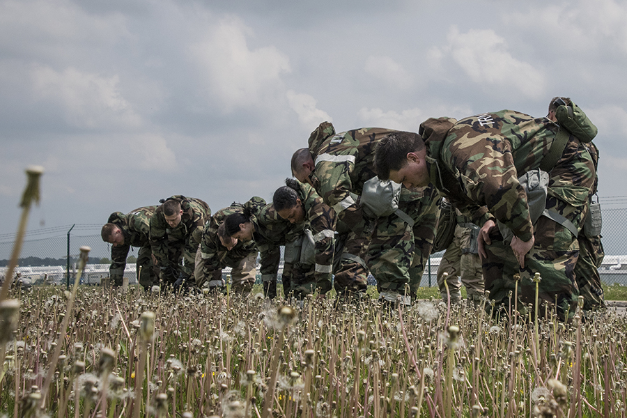 Group of soldiers bending at waist to conduct a search in field.