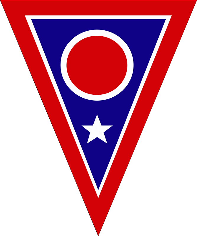 73rd Troop Command patch