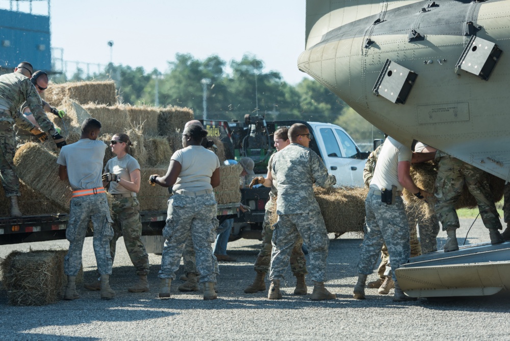 Guard members load hay onto an Ohio Army National Guard CH-47 Chinook helicopter.