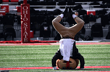 Brutus buckeye does a headstand.