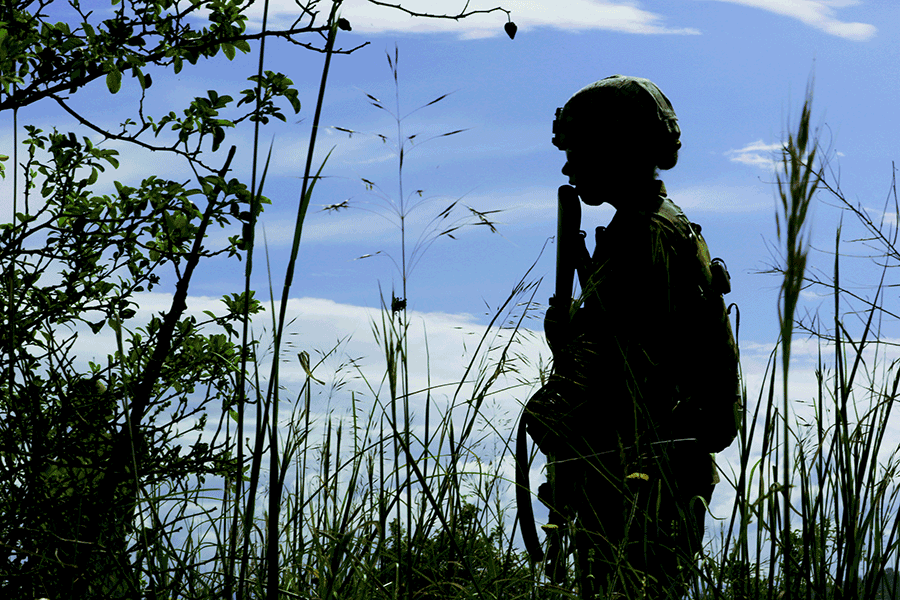 Silhouette of soldier standing guard in field.