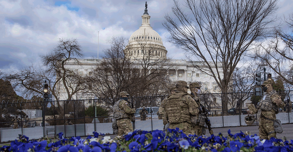 Members guard the Capitol with purple flowers in front.